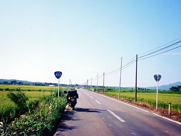 国道403号線