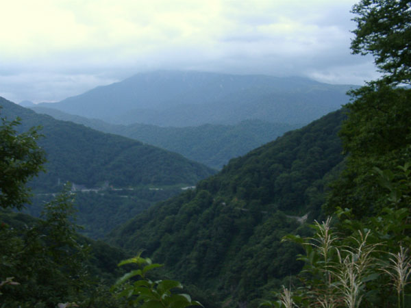 林道小口川線