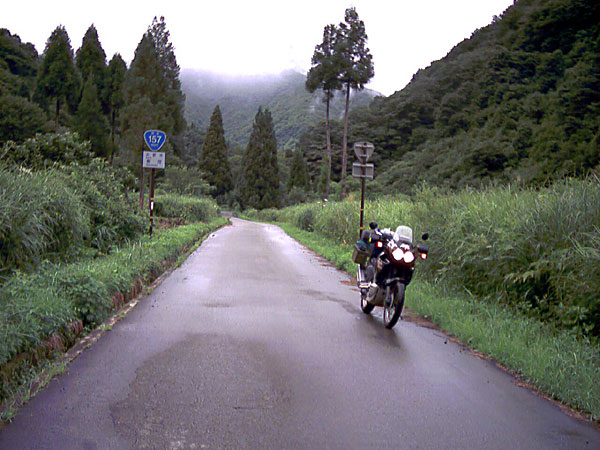 国道157号線