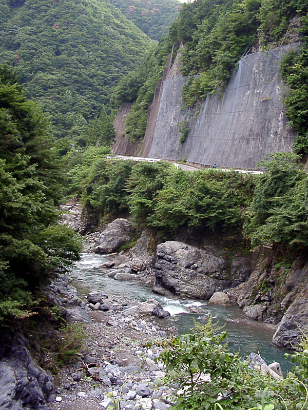 国道157号線