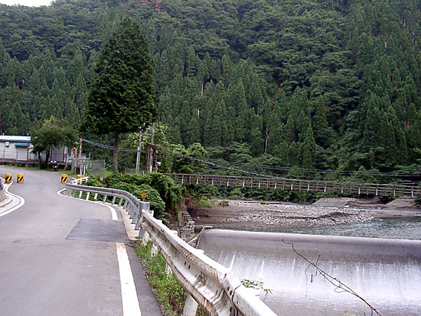 国道157号線
