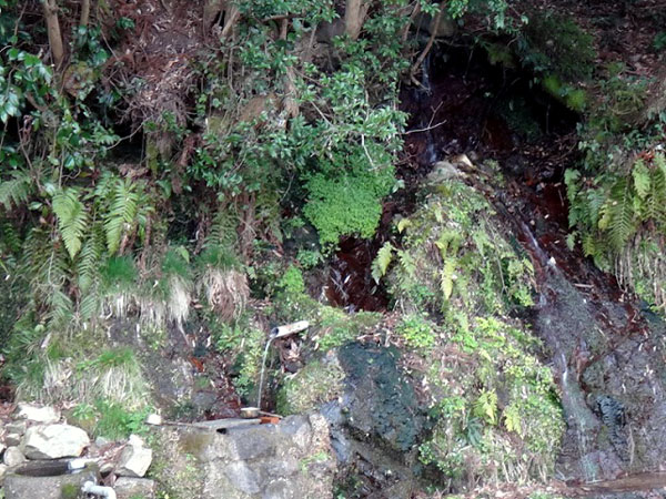 栃原の名水