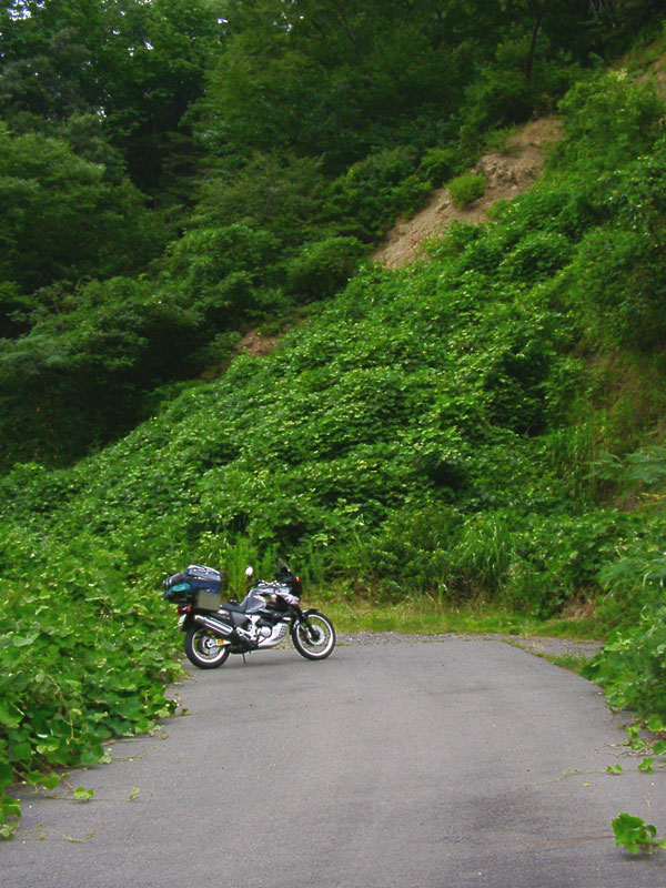 国道476号線