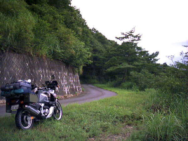 国道417号線