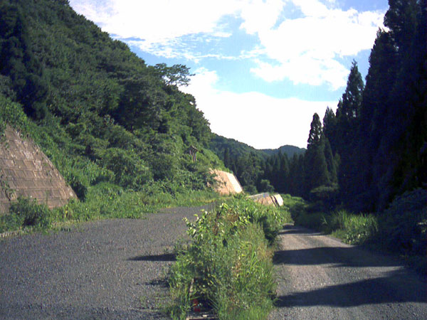 林道冠山線