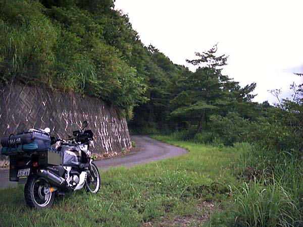 国道417号線