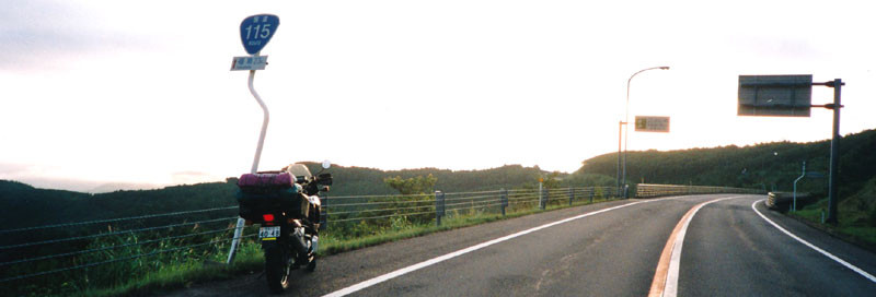 国道115号線