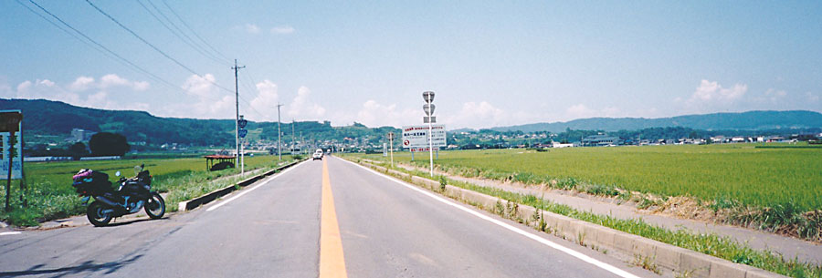 国道254号線