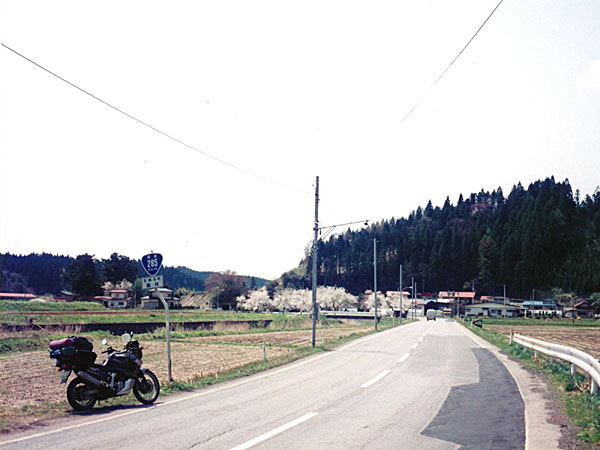 国道385号線
