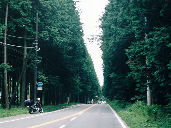 国道400号