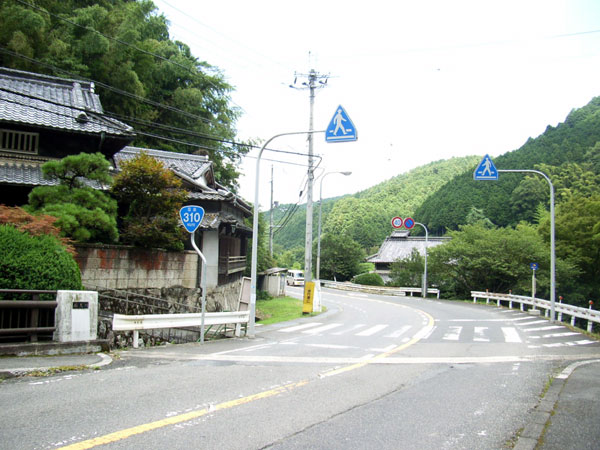 国道310号線
