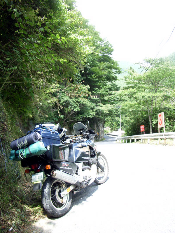 国道309号線