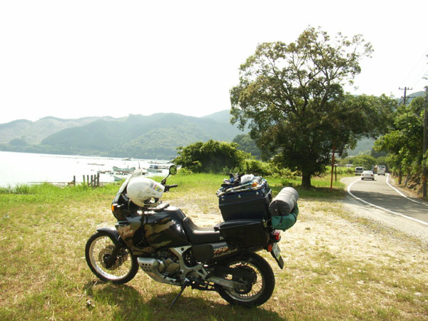 国道311号線