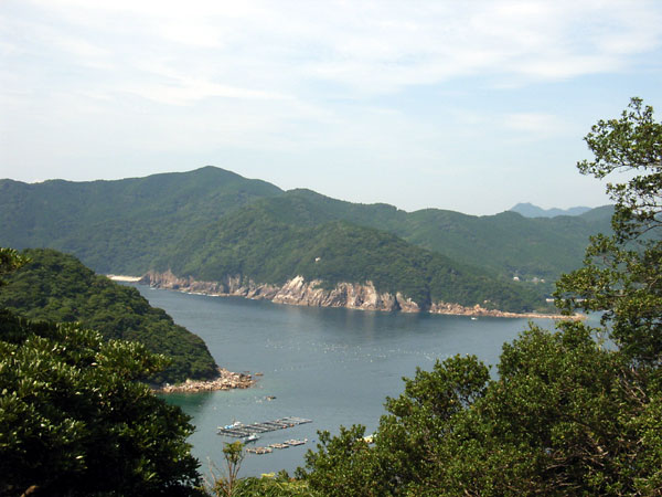 楯ヶ崎
