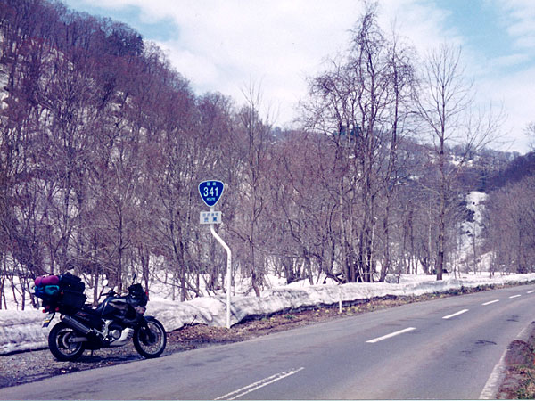 国道441号線