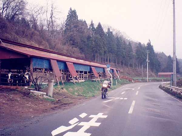 国道454号線
