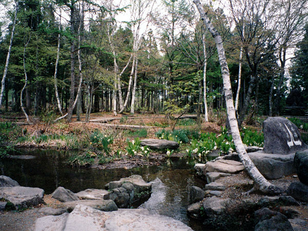 分水嶺公園