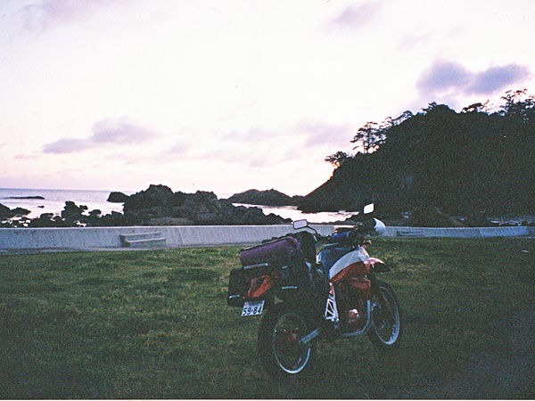 亀島園地
