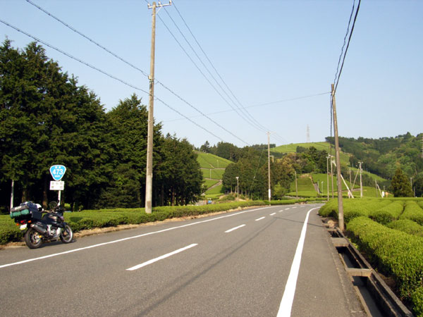 国道473号線