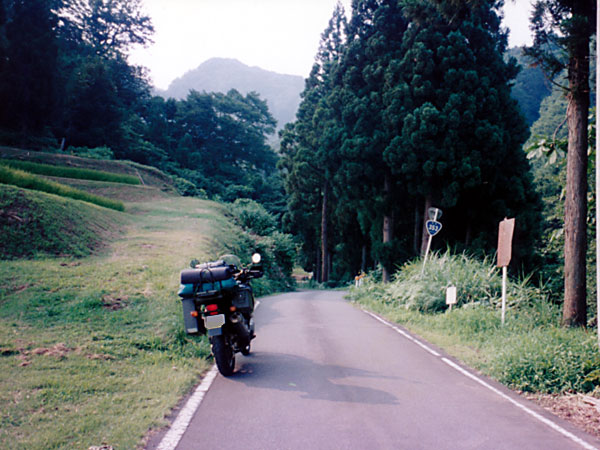 国道353号線